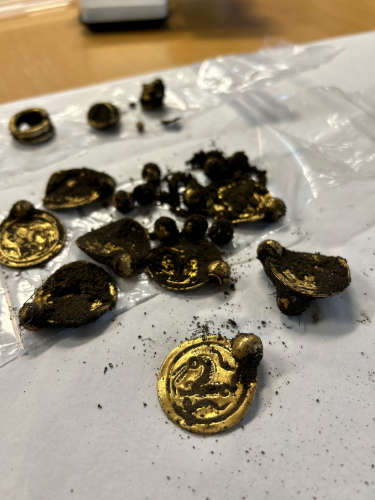 The gold find was delivered to the Archaeological museum, University of Stavanger, the day after it had been found. © Anniken Celine Berger, The Museum of Archaeology, University of Stavanger.
