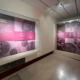 A view of the exhibition. Image: Ellen Richardson/Dumbarton Oaks.