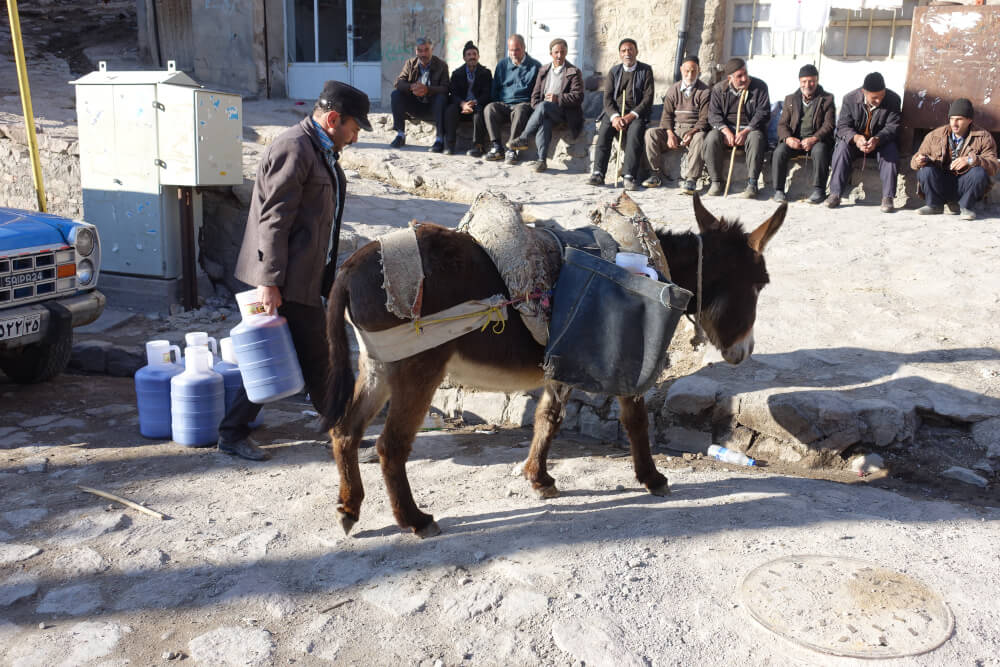 Donkeys are the most reliable means of transport considering the altitude difference here. Photo: KW. Donkeys are the most reliable means of transport considering the altitude difference here. Photo: KW.