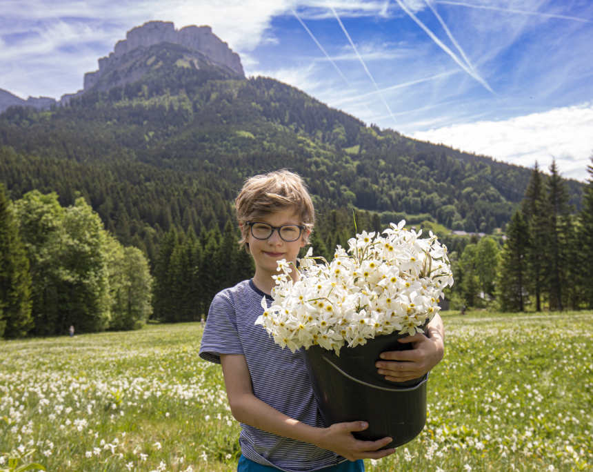 The white daffodils of the Ausseerland region take center stage at the Daffodil Festival. Photo ©Gerd Kressl